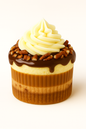 Turtle Cheesecake