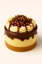 Turtle Cheesecake
